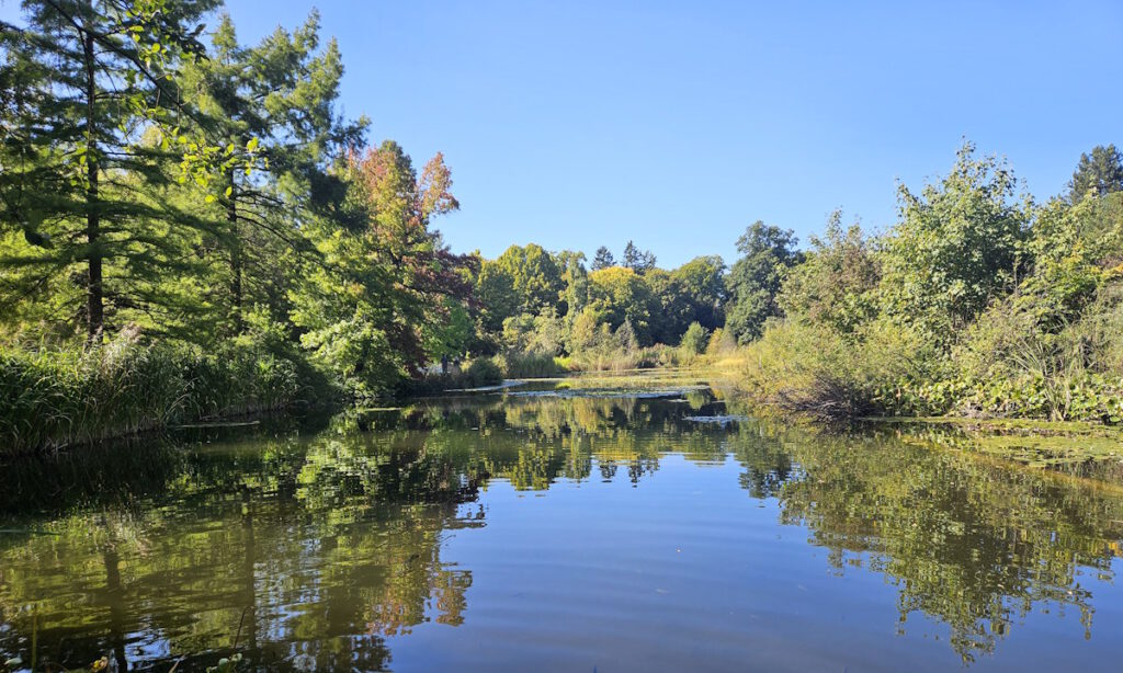 Großer Teich im Botanischen Garten München