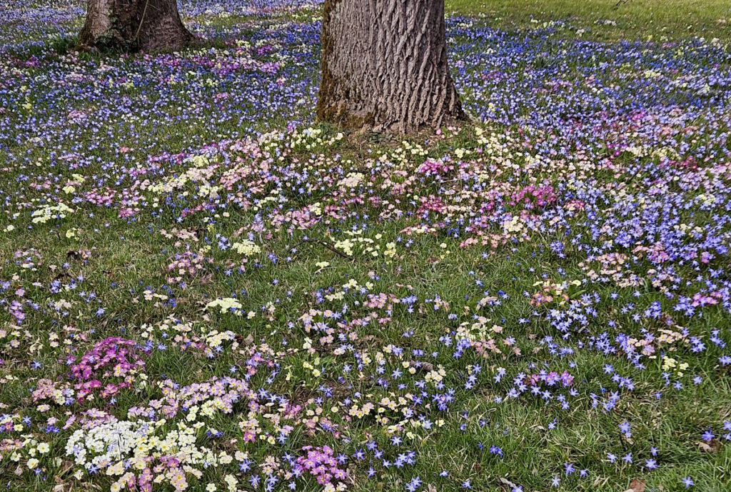 Frühling im Botanischen Garten München
