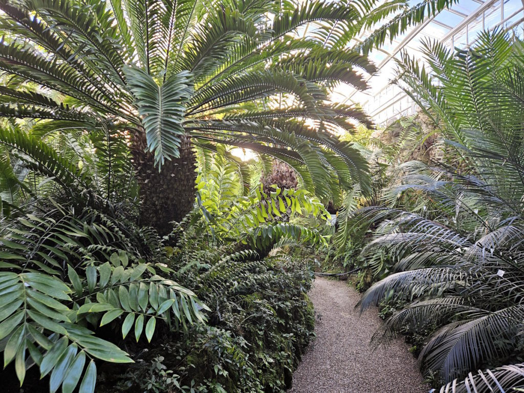 Palmenhaus
