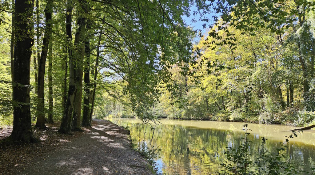 Entenfallweiher im Englischen Garten