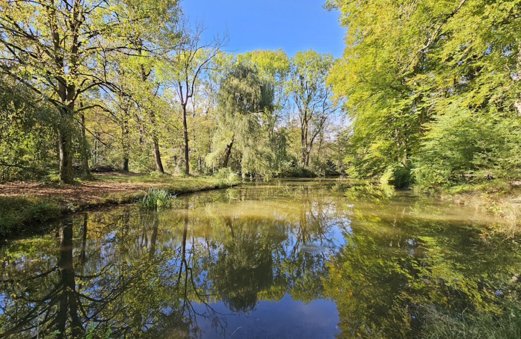 Englischer Garten München