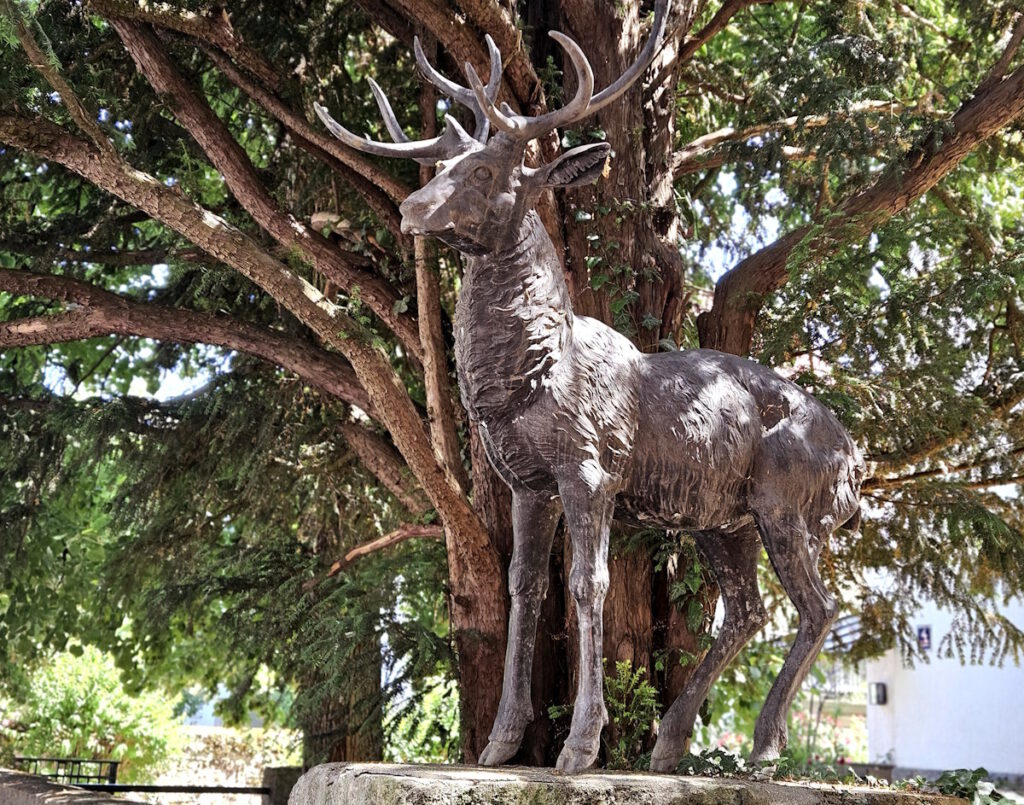 Hirsch vor der Villa Lindenhof