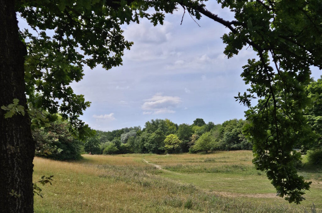 Zamilapark