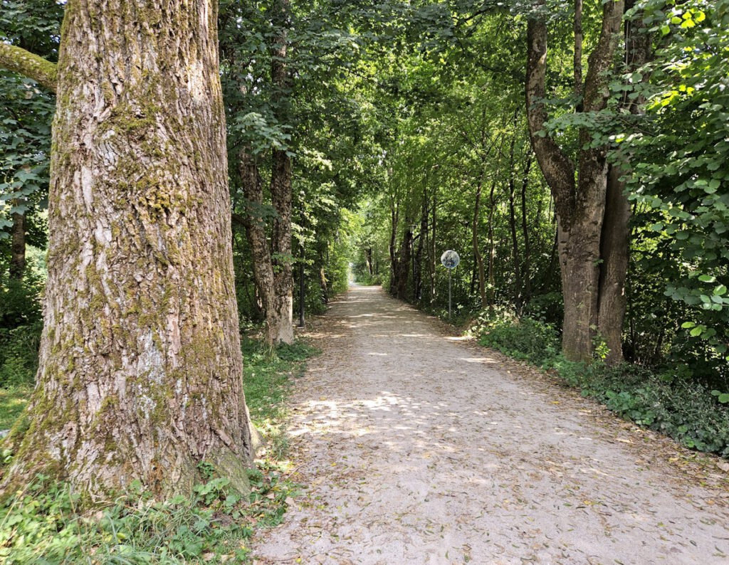 Zugang zum Ökologischen Bildungszentrum
