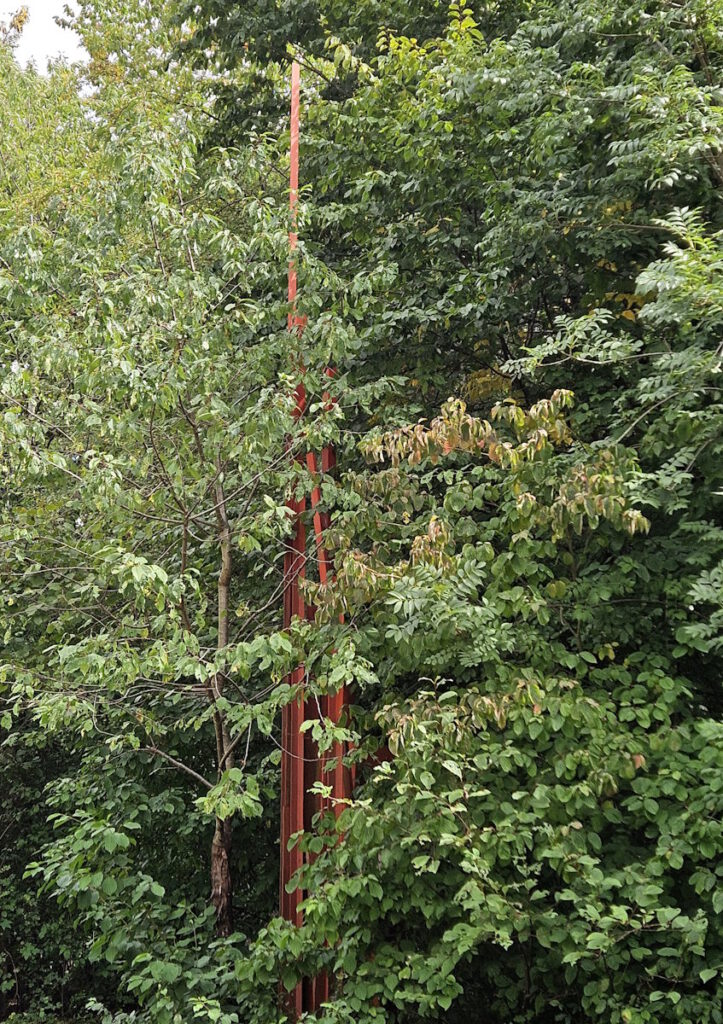 Christoph Freimann Bündelung am See im Zamilapark