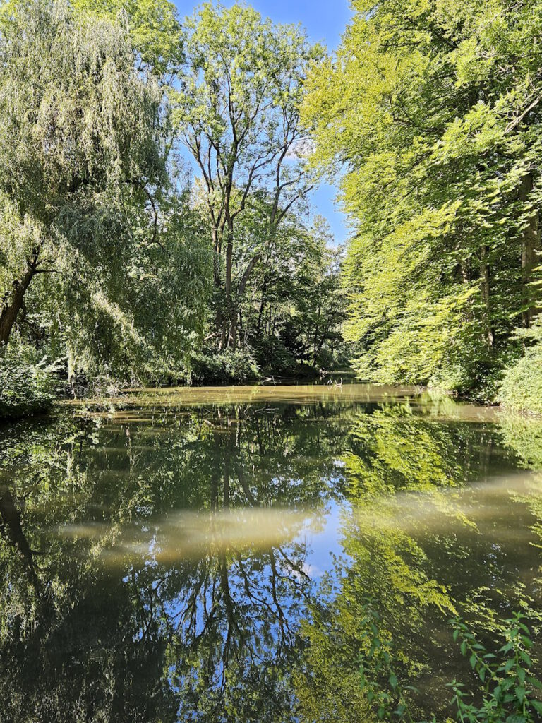 Entenfallweiher im Englischen Garten