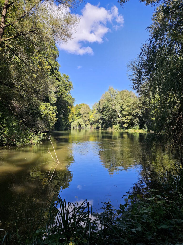 Schwammerlweiher im Englilschen Garten