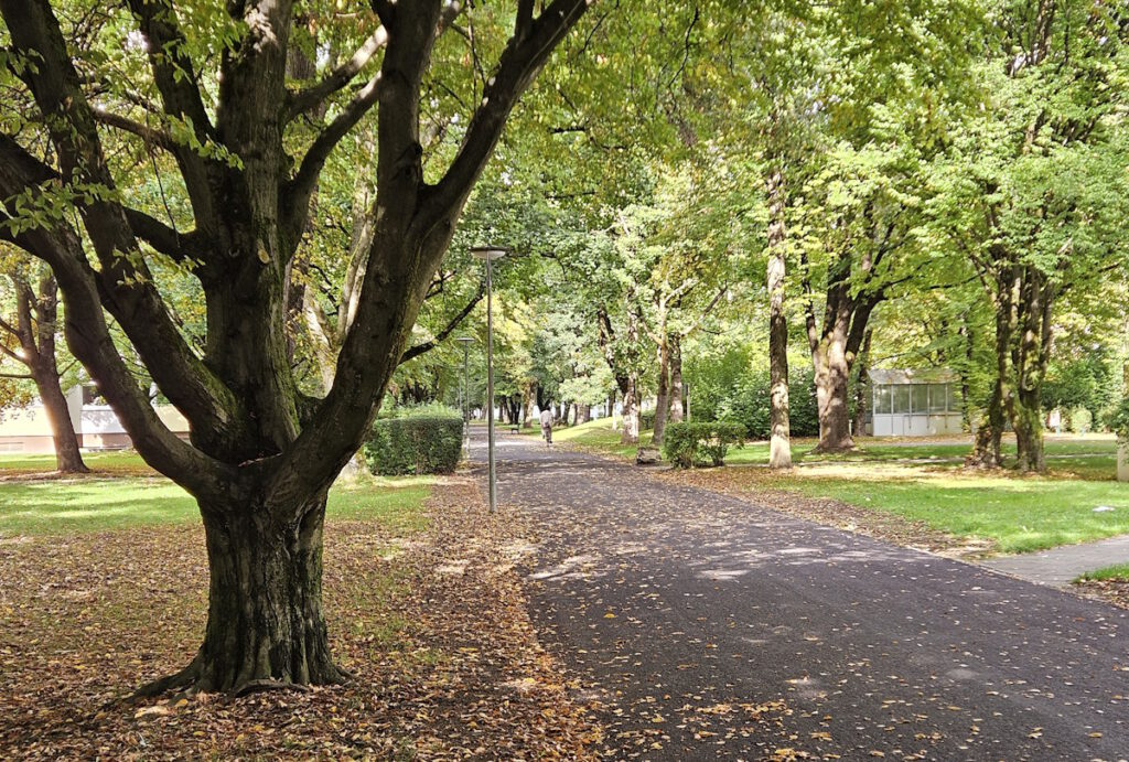 Siedlung Fideliopark