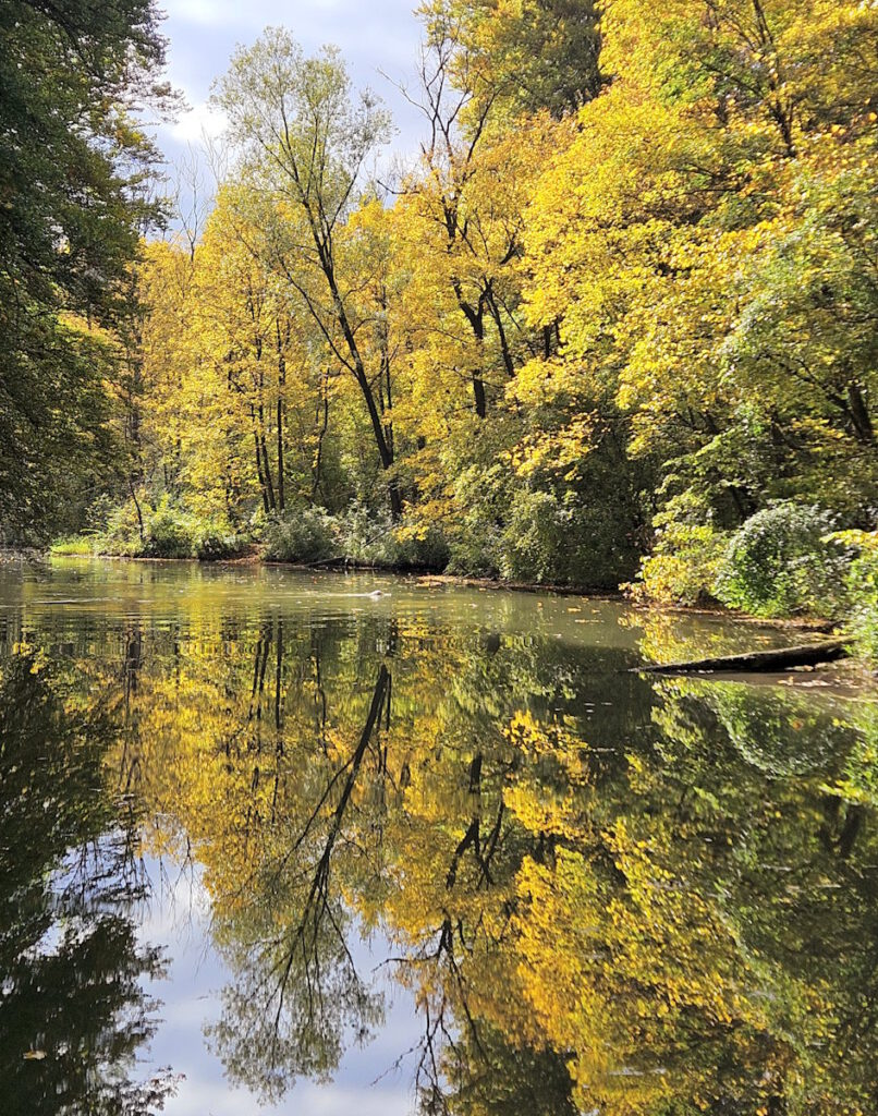 Entenfallweiher im Herbst