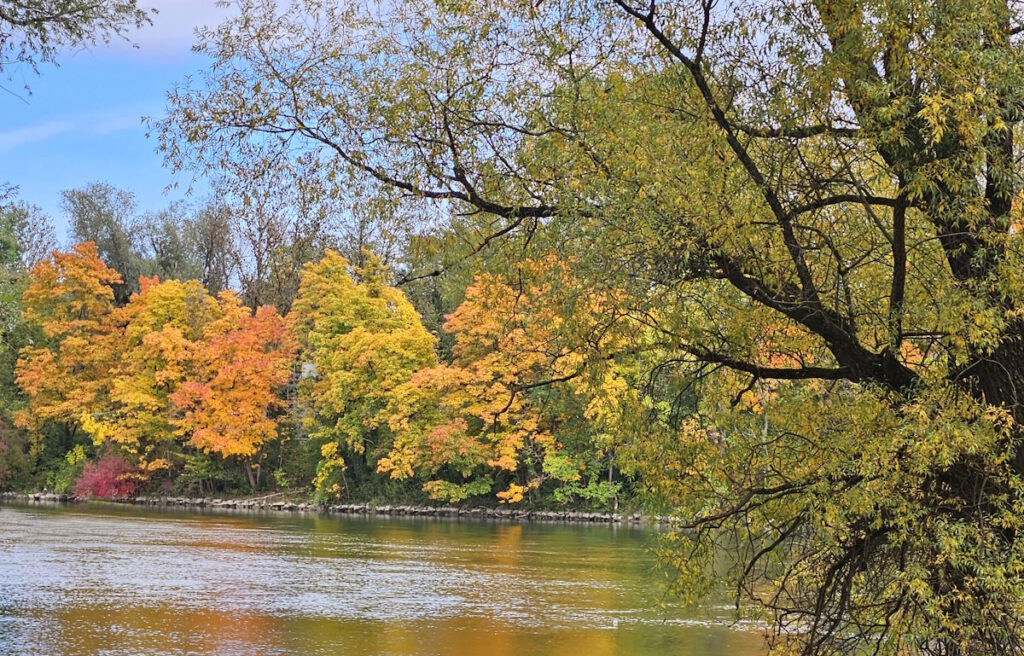 Isar