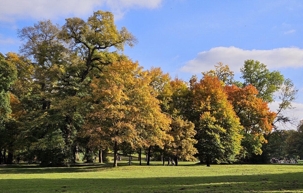 Englischer Garten