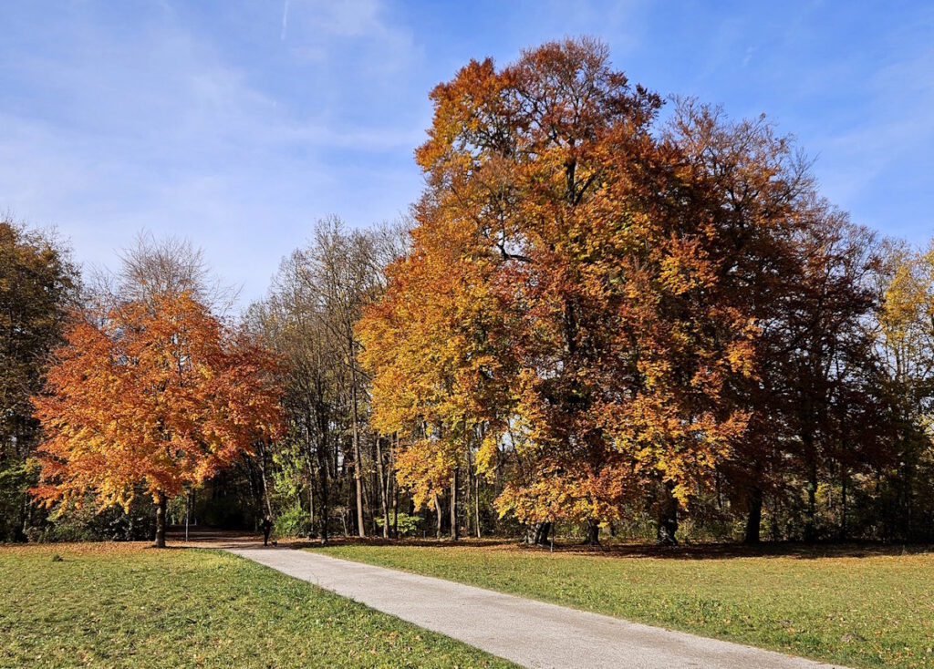 Herbst im Englischen Garten