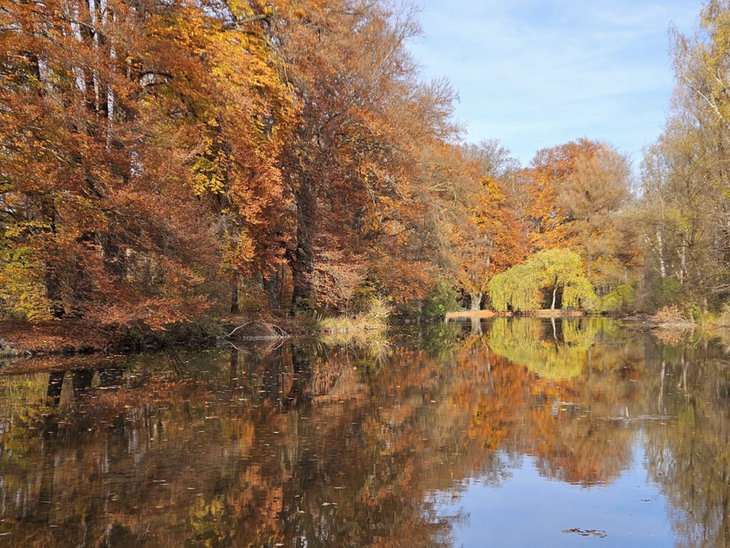 Schwammerlweiher im Englischen Garten