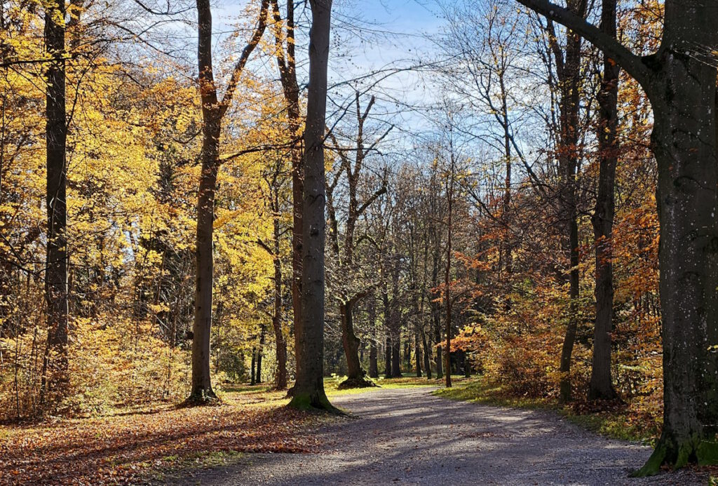 Herbst im Englischen Garten