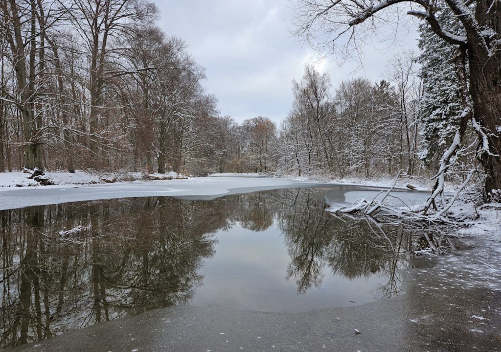 Schwammerlweiher im Englischen Garten