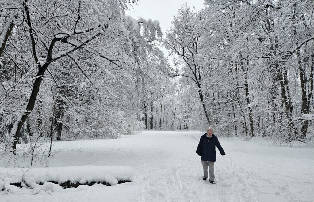 Englischer Garten im Winter