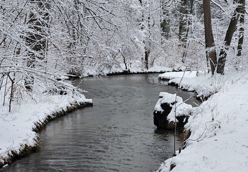 Englischer Garten im Winter