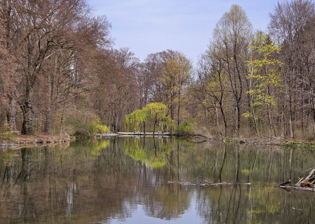 Schwammerlweiher im Frühling