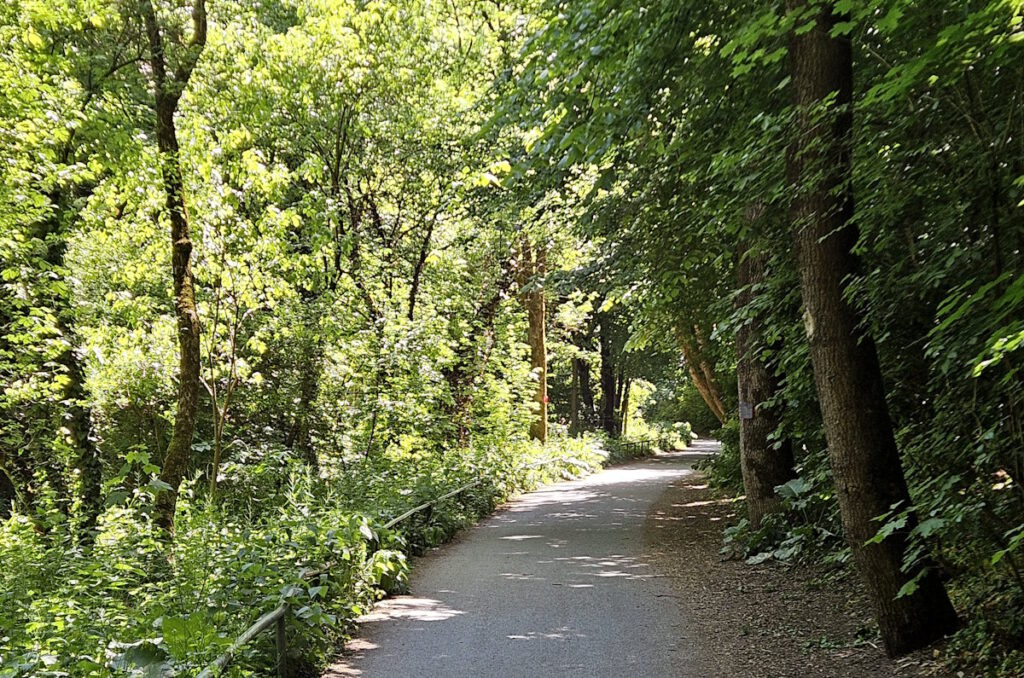Alexander-Miklósy-Weg