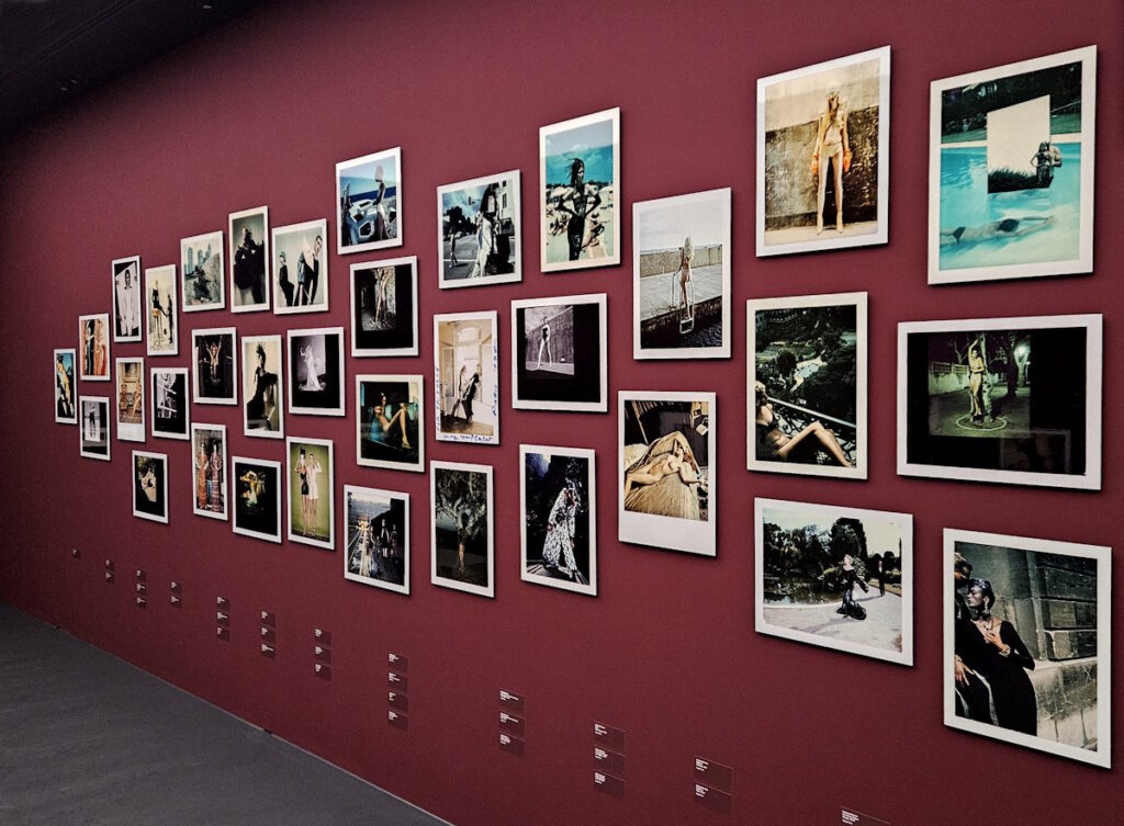 Helmut Newton. Polaroids