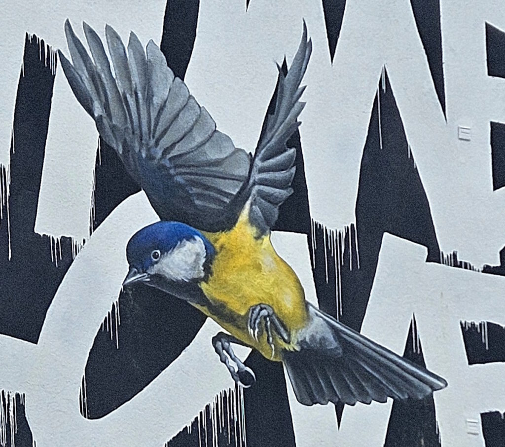 Belgradstraße Mural