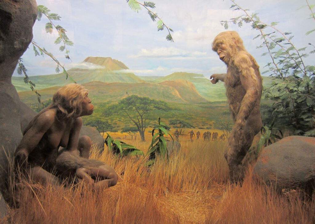 Nymphenburg: Museum Mensch und Natur PRESS REFRESH