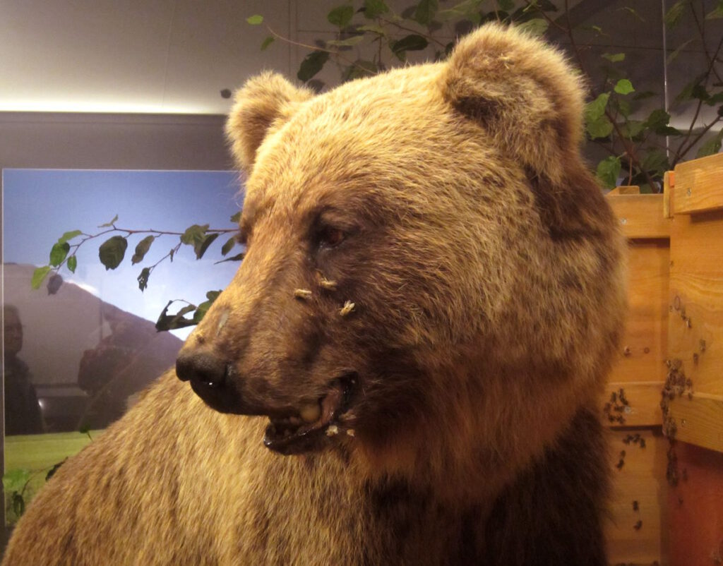 Nymphenburg: Museum Mensch und Natur PRESS REFRESH
