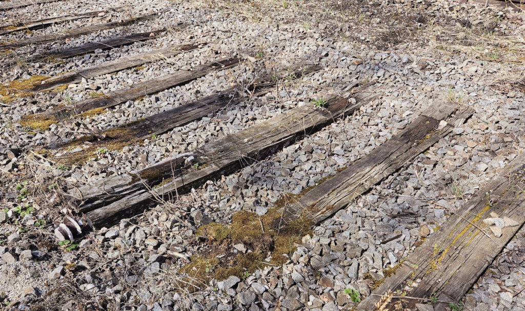 Landschaftspark Baumkirchen