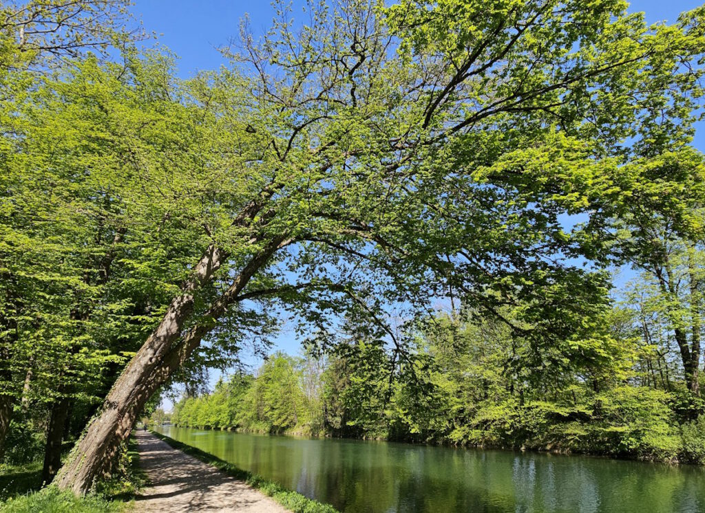 Isarwerkkanal