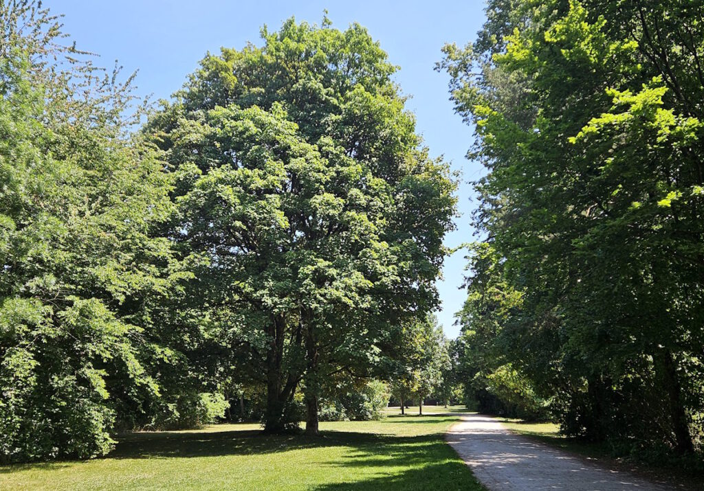 Zwieselbergweg in Berg am Laim