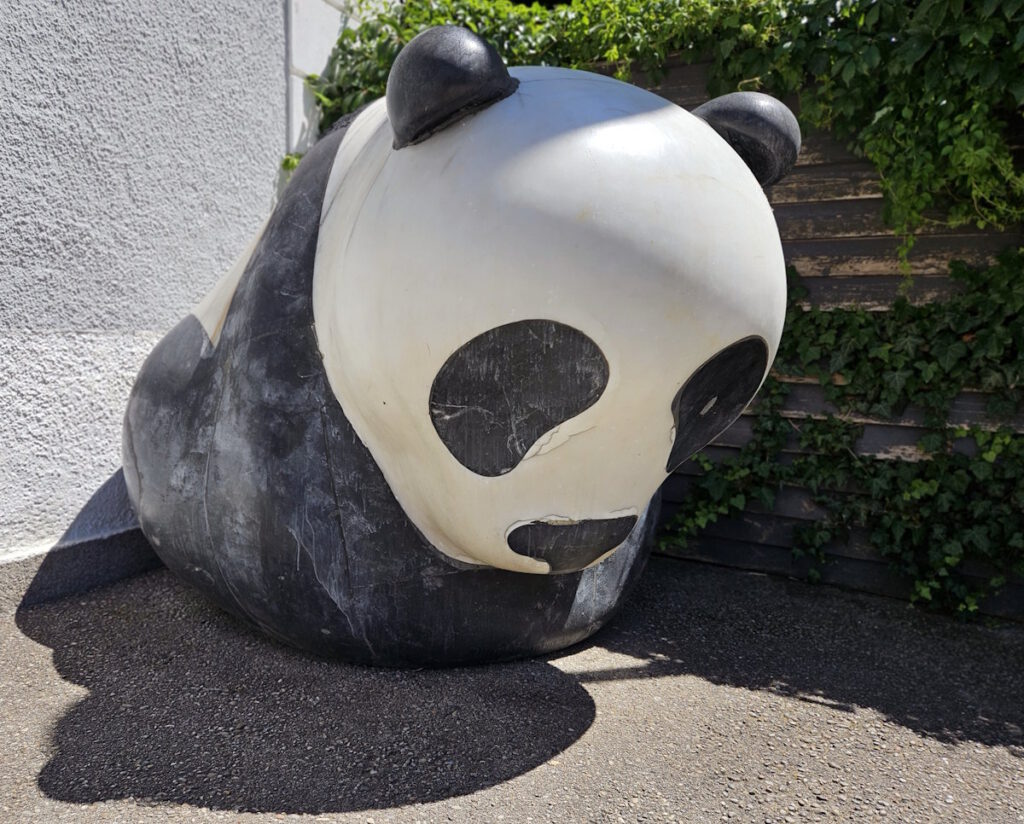 Pandabär am Stauwehr Oberföhring