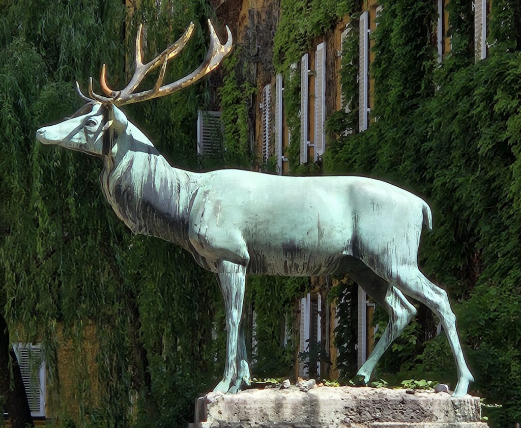 Heinrich Düll und Georg Pezold: Hirsch