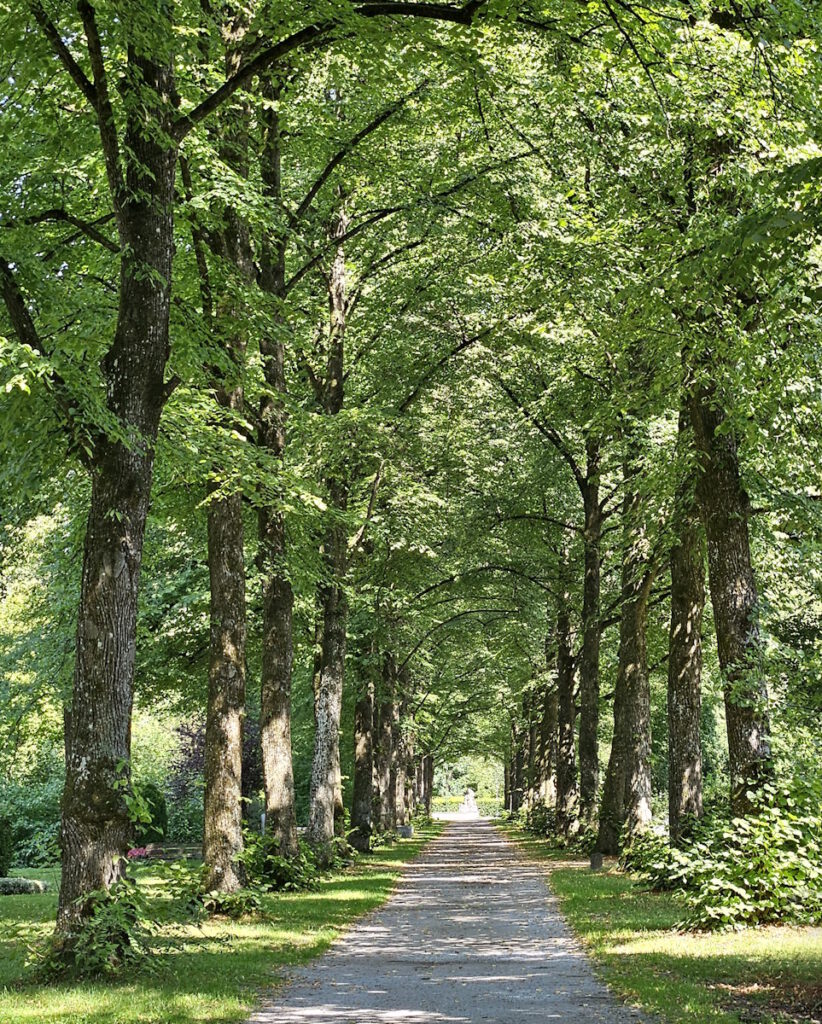 Friedhof am Perlacher Forst Lindenallee