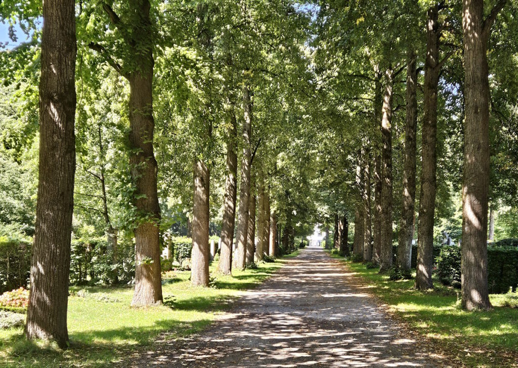 Friedhof am Perlacher Forst Lindenallee