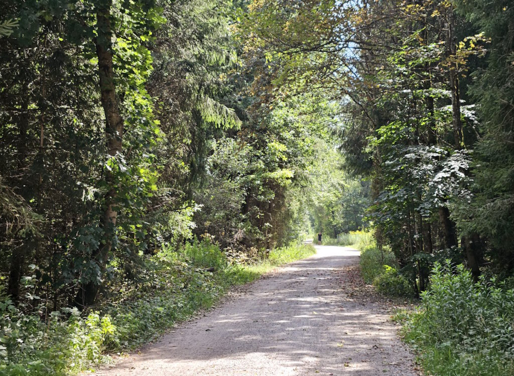 Truderinger Wald
