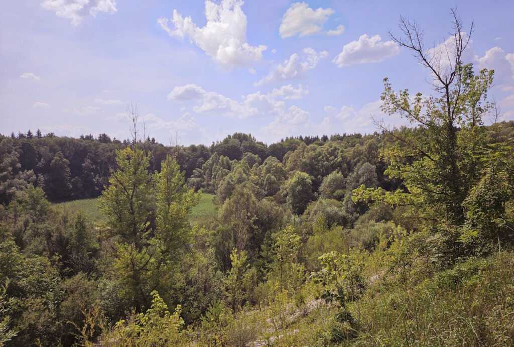 Truderinger Wald
