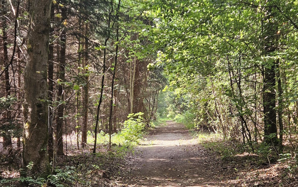 Truderinger Wald