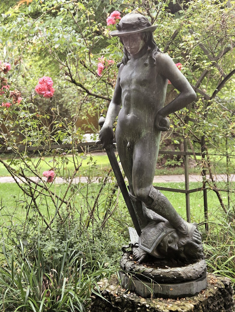 Borstei Rosengarten David