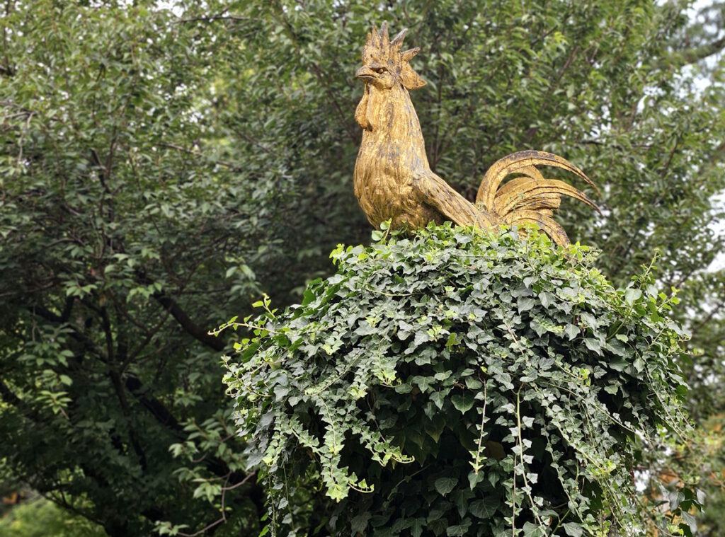 Goldener Hahn von Andreas Rauch im Rosengarten der Borstei