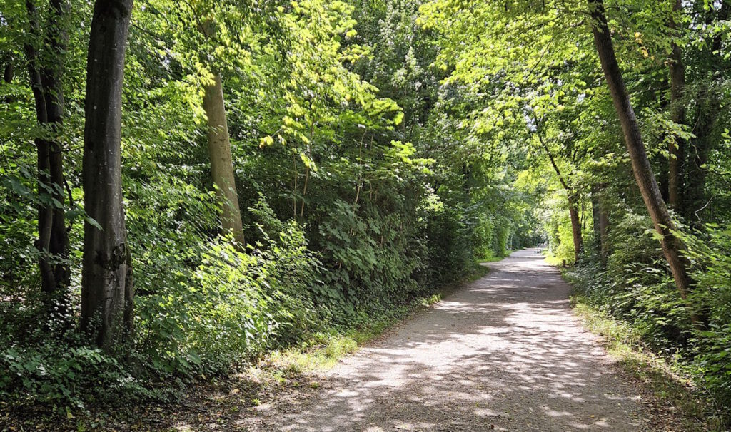 Grünanlage Isarauen München