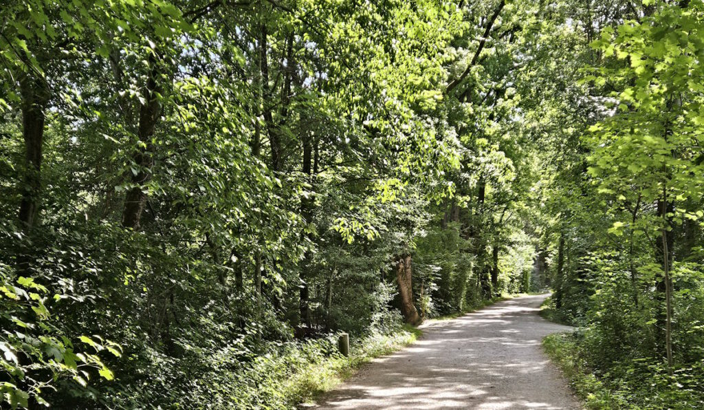 Grünanlage Isarauen München