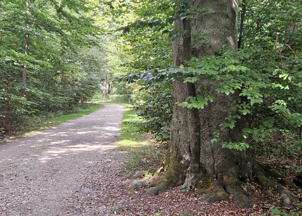 Südpark in  München-Sendling