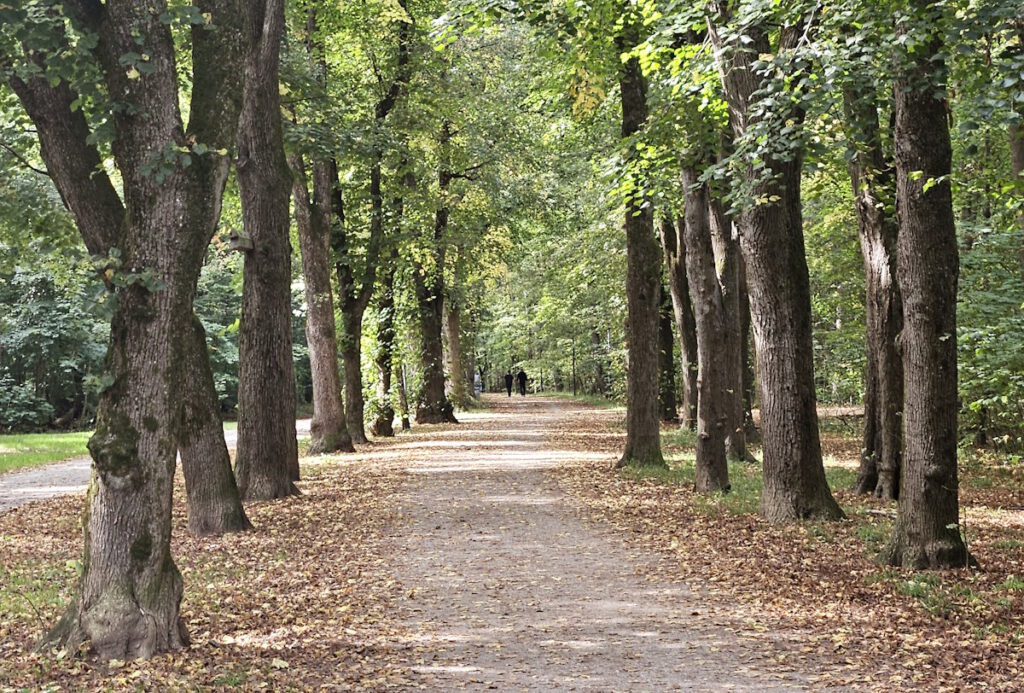 Südpark in  München-Sendling