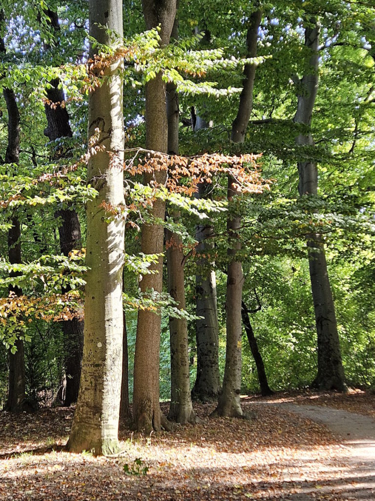 Grünanlage an der Wilramstraße