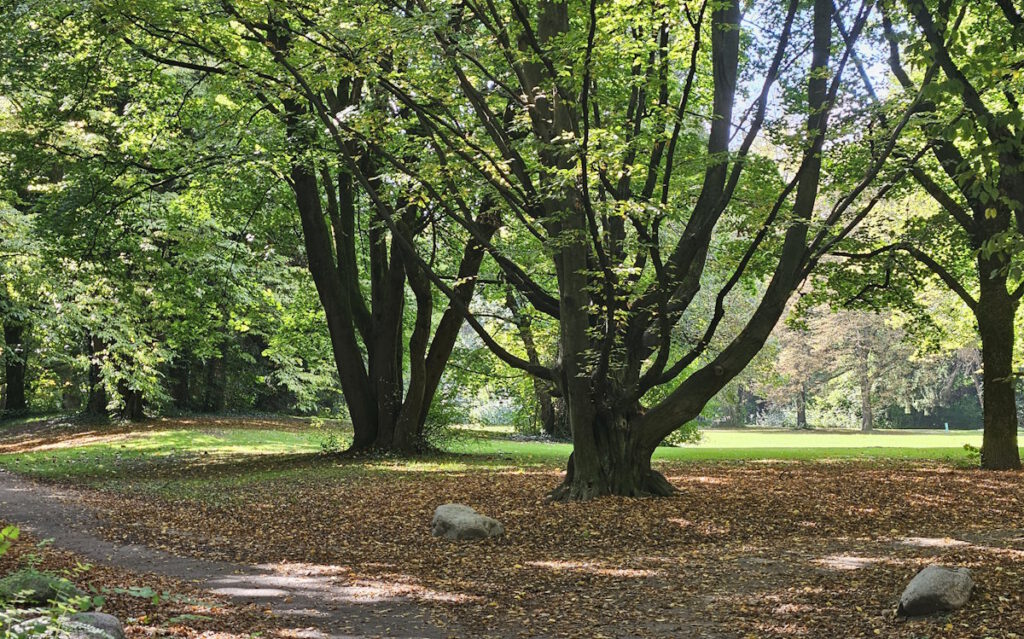 Grünanlage an der Wilramstraße
