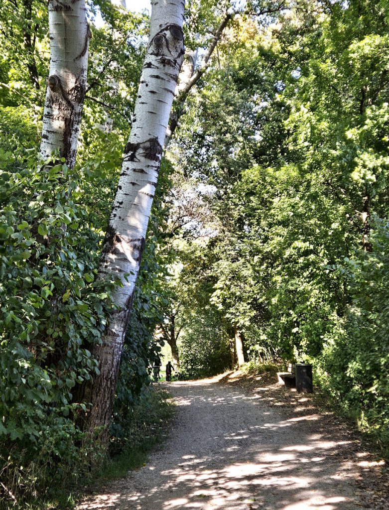 Grünanlage Am Graben