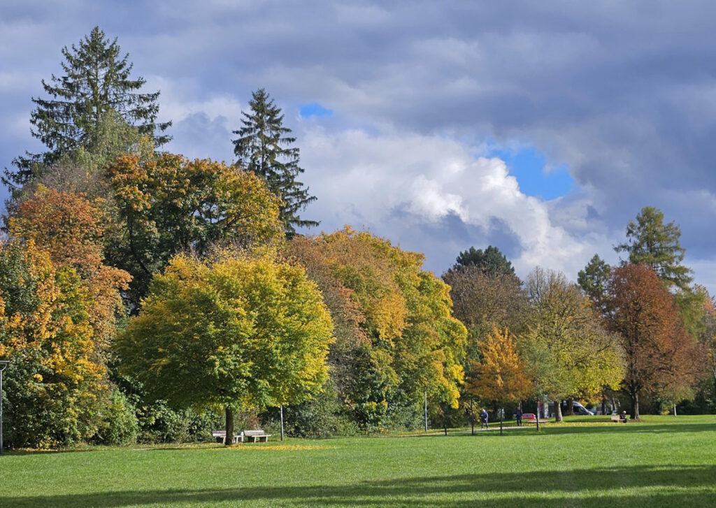 Vollmarpark in Neuharlaching