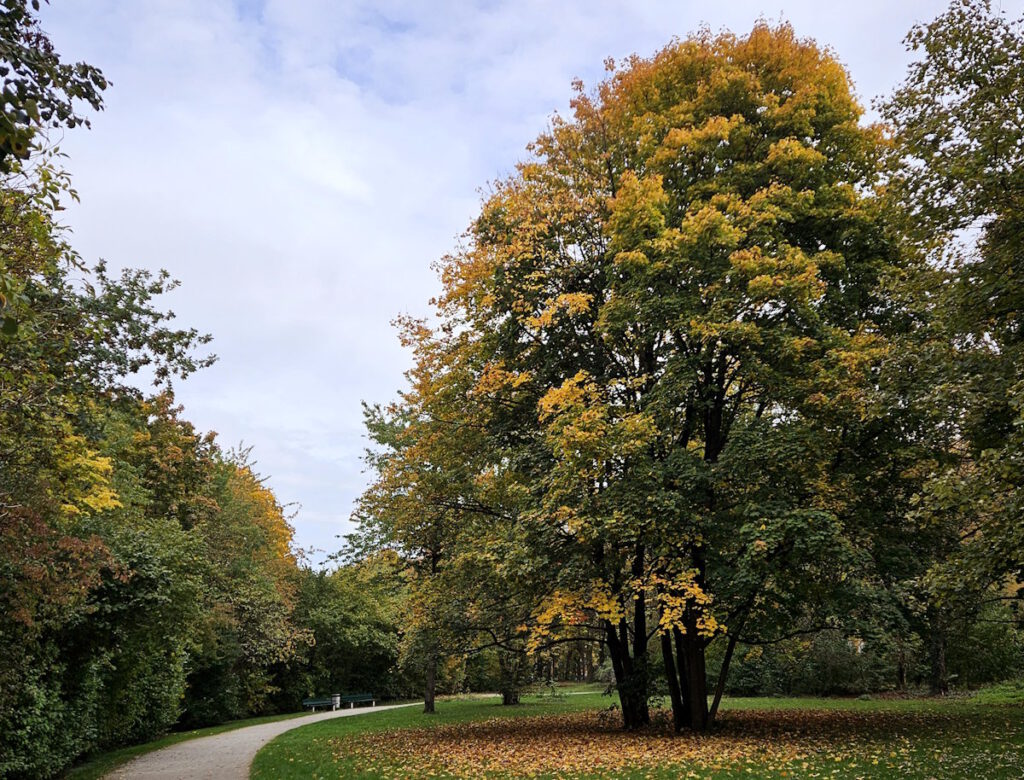 Grünanlage nördlich der Borstei in Moosach