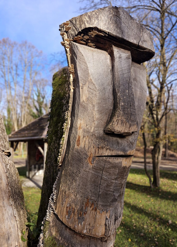 Grünanlage Isarinsel Oberföhring