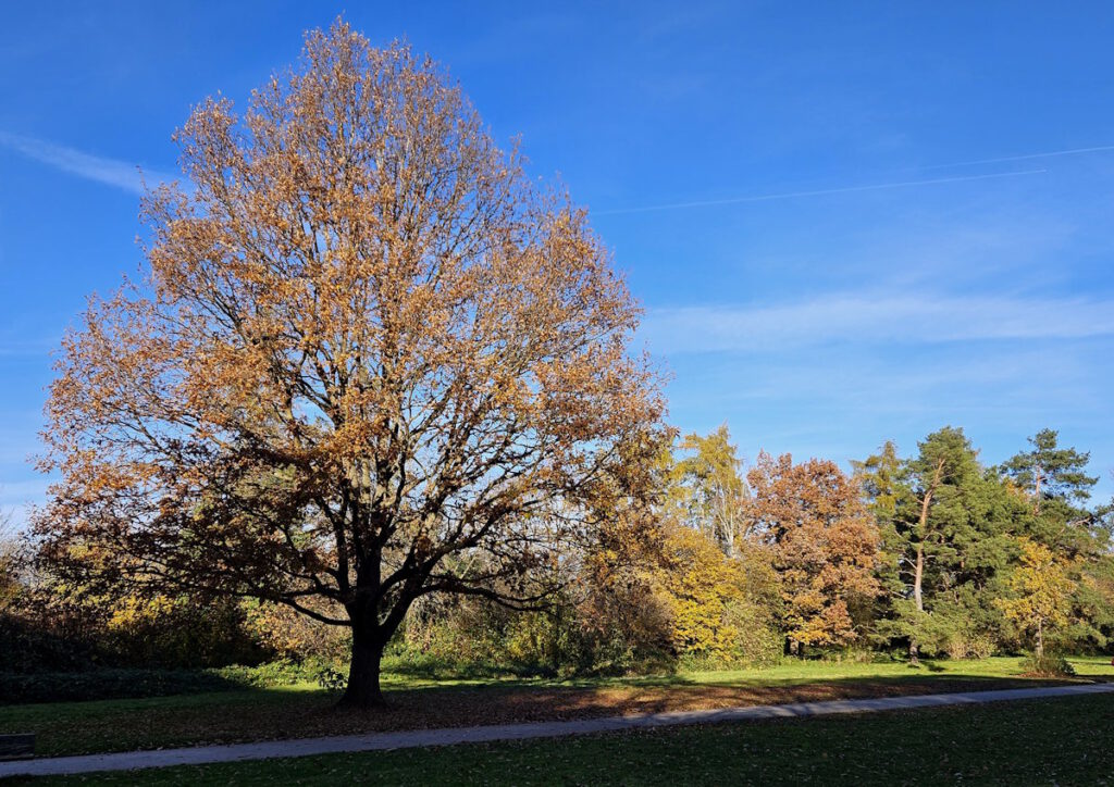Grünanlage in Neuperlach